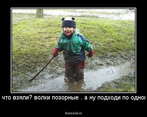 ну что взяли? волки позорные . а ну подходи по одному 