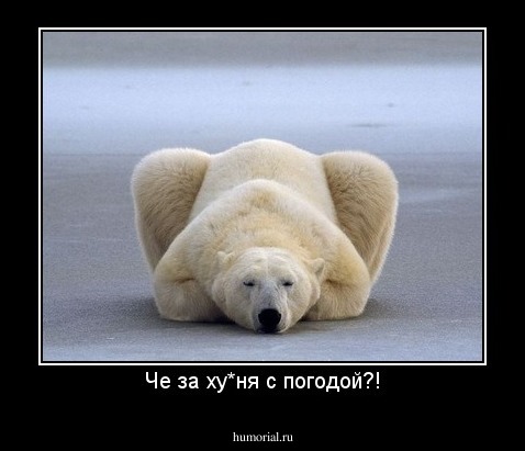Че за ху*ня с погодой?!