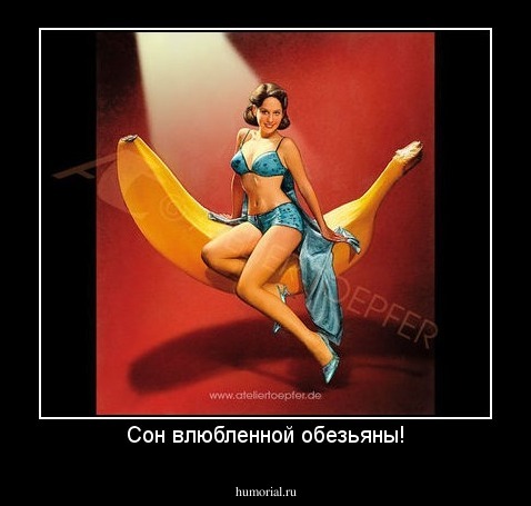 Сон влюбленной обезьяны!