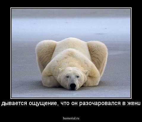 Складывается ощущение, что он разочаровался в женщинах