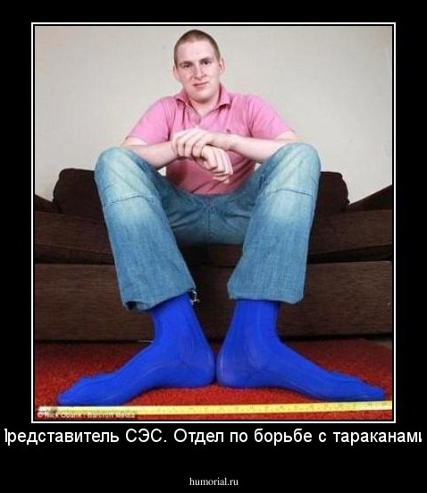 Представитель СЭС. Отдел по борьбе с тараканами.