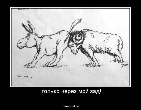  только через мой зад!