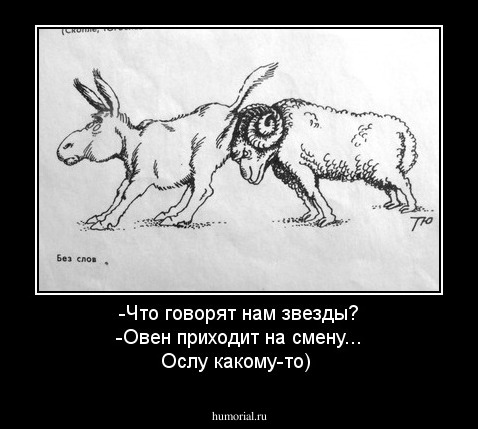-Что говорят нам звезды? 
-Овен приходит на смену... Ослу какому-то)