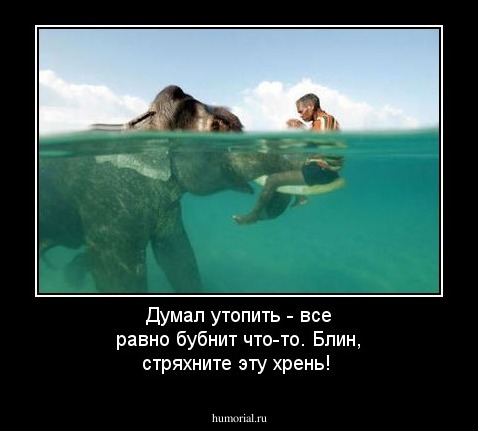 Думал утопить - все равно бубнит что-то. Блин, стряхните эту хрень! 