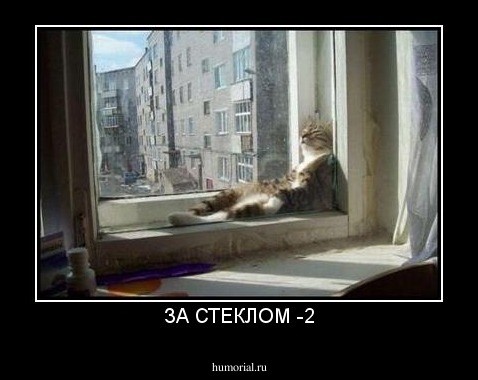 ЗА СТЕКЛОМ -2