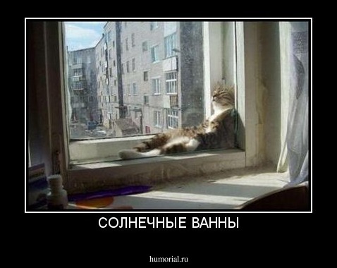 СОЛНЕЧНЫЕ ВАННЫ