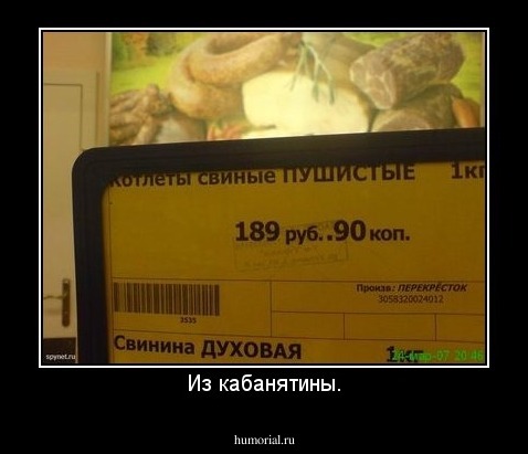 Из кабанятины.