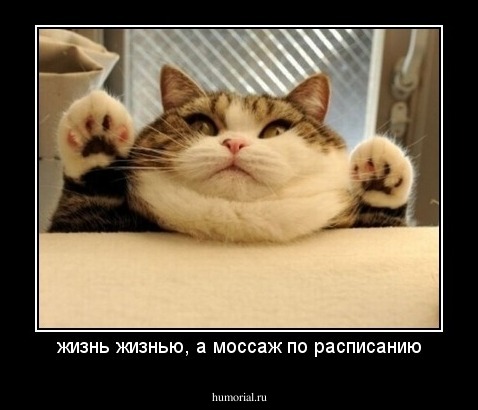 жизнь жизнью, а моссаж по расписанию