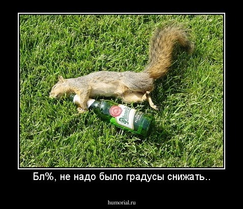 Бл%, не надо было градусы снижать..