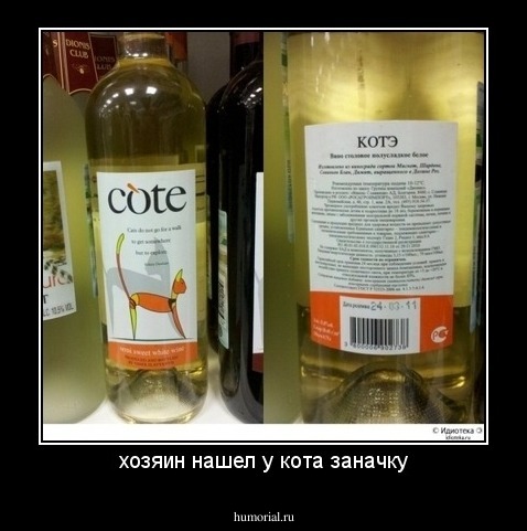 хозяин нашел у кота заначку