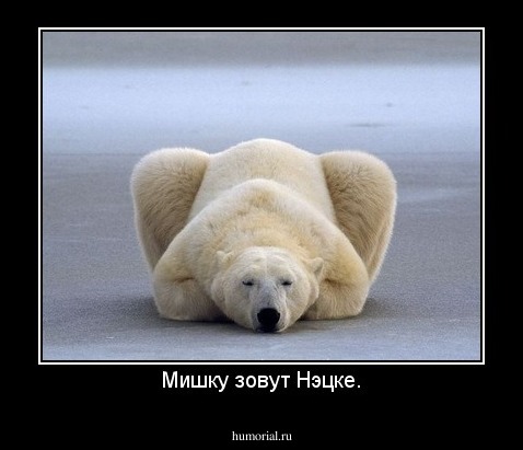 Мишку зовут Нэцке.