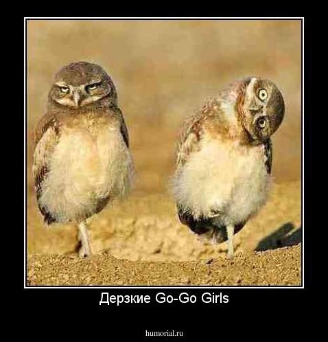 Дерзкие Go-Go Girls