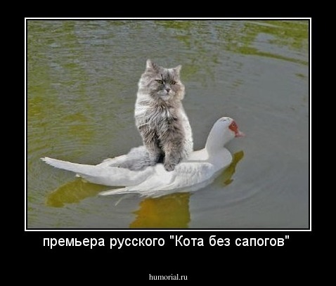 премьера русского "Кота без сапогов" 