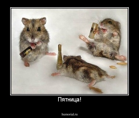 Пятница!