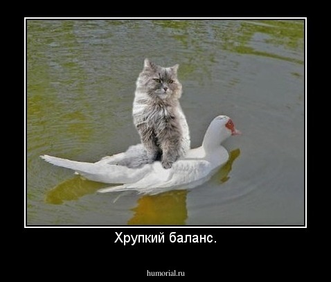 Хрупкий баланс.