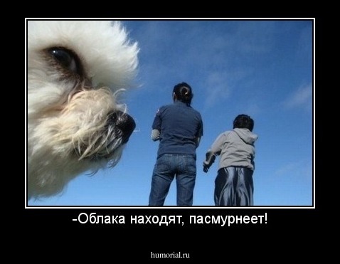 -Облака находят, пасмурнеет!