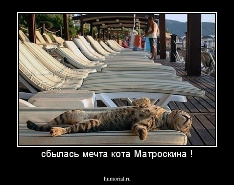 сбылась мечта кота Матроскина !