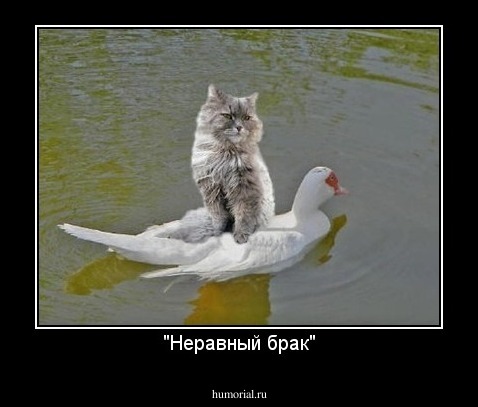 "Неравный брак"