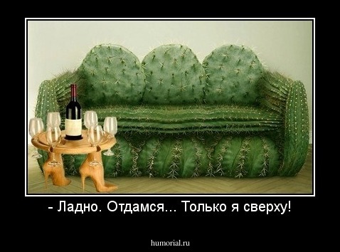 - Ладно. Отдамся... Только я сверху!