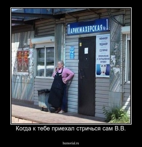Когда к тебе приехал стричься сам В.В.
