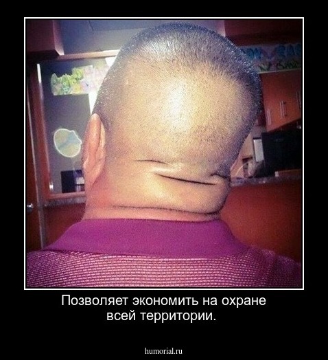 Позволяет экономить на охране всей территории.
