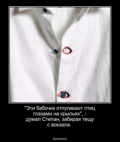 "Эти бабочки отпугивают птиц глазами на крыльях", - думал Степан, забирая тещу с вокзала.