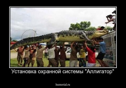 Установка охранной системы "Аллигатор"