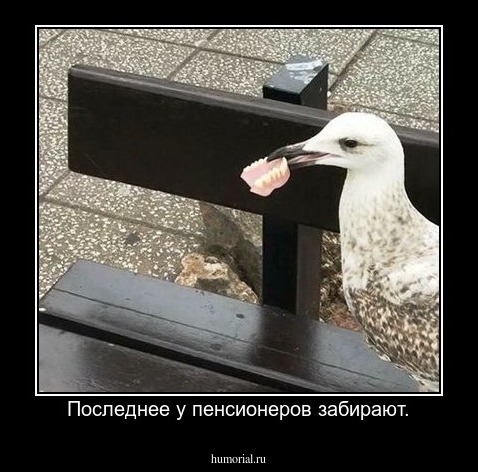 Последнее у пенсионеров забирают.