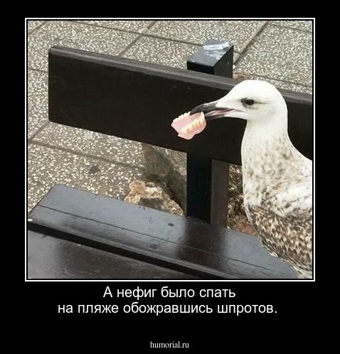 А нефиг было спать на пляже обожравшись шпротов.