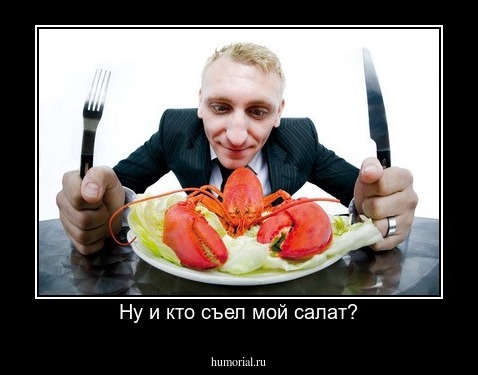 Ну и кто съел мой салат?