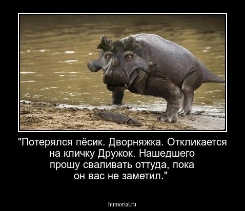 "Потерялся пёсик. Дворняжка. Откликается на кличку Дружок. Нашедшего прошу сваливать оттуда, пока он вас не заметил."