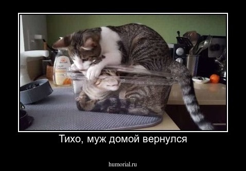 Тихо, муж домой вернулся