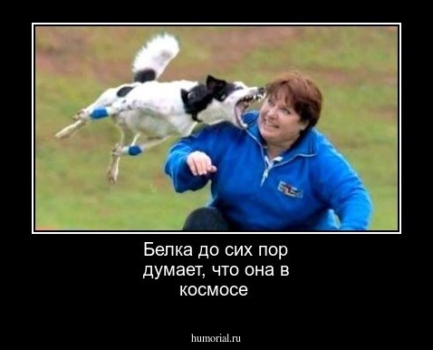 Белка до сих пор думает, что она в космосе