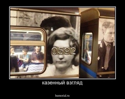казенный взгляд