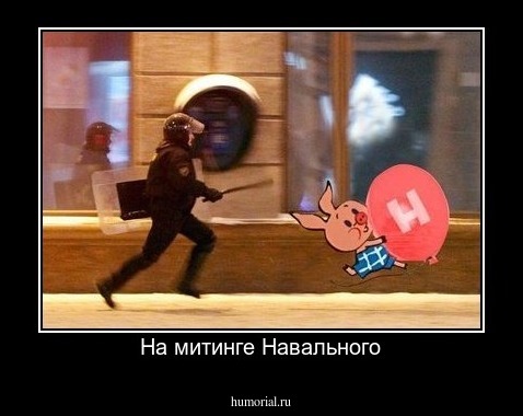 На митинге Навального