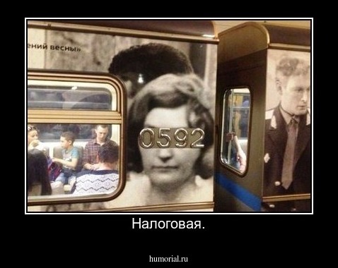 Налоговая.