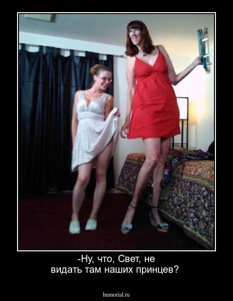 -Ну, что, Свет, не видать там наших принцев?