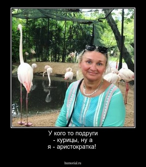 У кого то подруги - курицы, ну а я - аристократка!