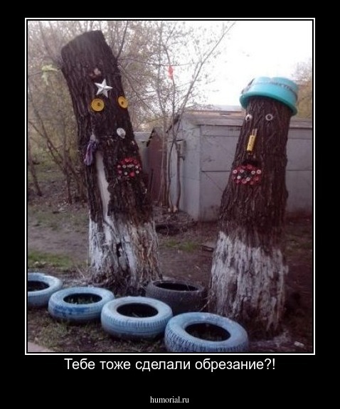 Тебе тоже сделали обрезание?!