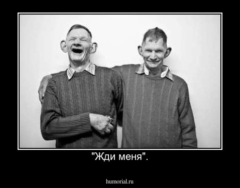 "Жди меня".