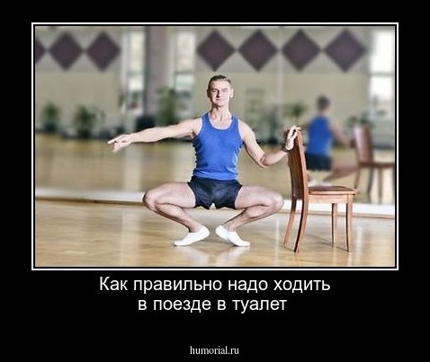 Как правильно надо ходить в поезде в туалет