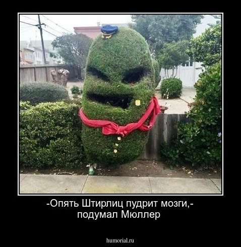 -Опять Штирлиц пудрит мозги,- подумал Мюллер