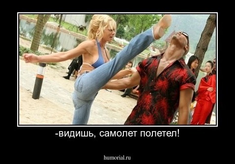 -видишь, самолет полетел!