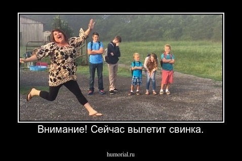 Внимание! Сейчас вылетит свинка.