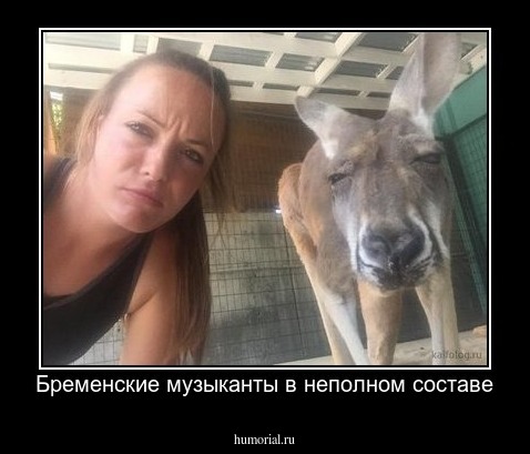 Бременские музыканты в неполном составе