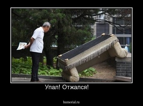 Упал! Отжался!     