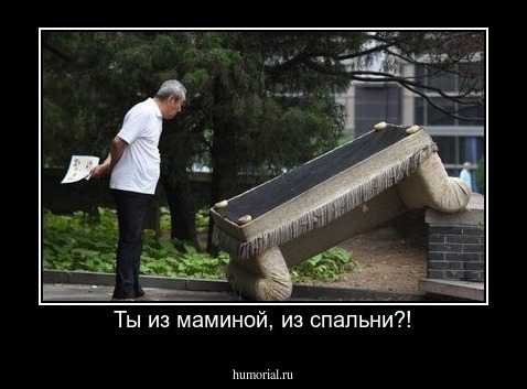 Ты из маминой, из спальни?!