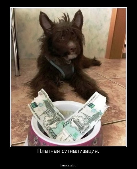 Платная сигнализация.