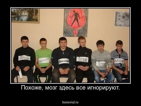 Похоже, мозг здесь все игнорируют.