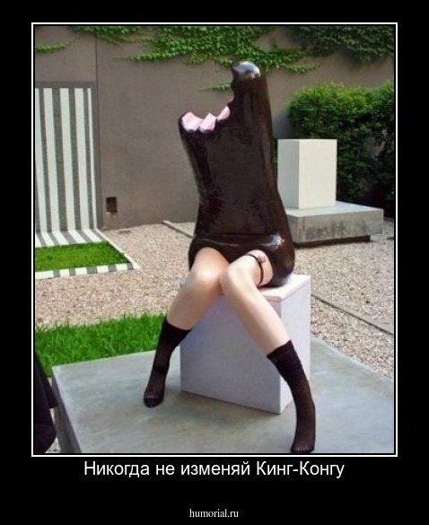 Никогда не изменяй Кинг-Конгу